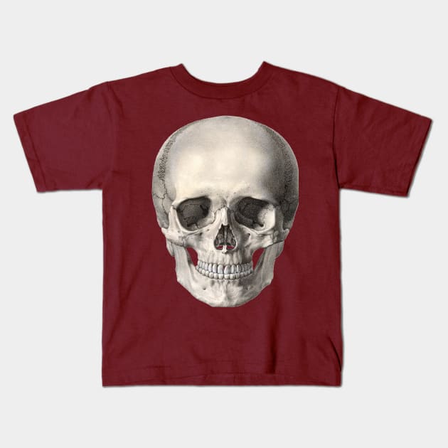 Vintage Science, Antique Human Anatomy Skull Kids T-Shirt by MasterpieceCafe